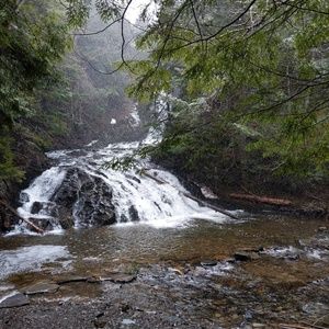 Meet your Posher, Trina